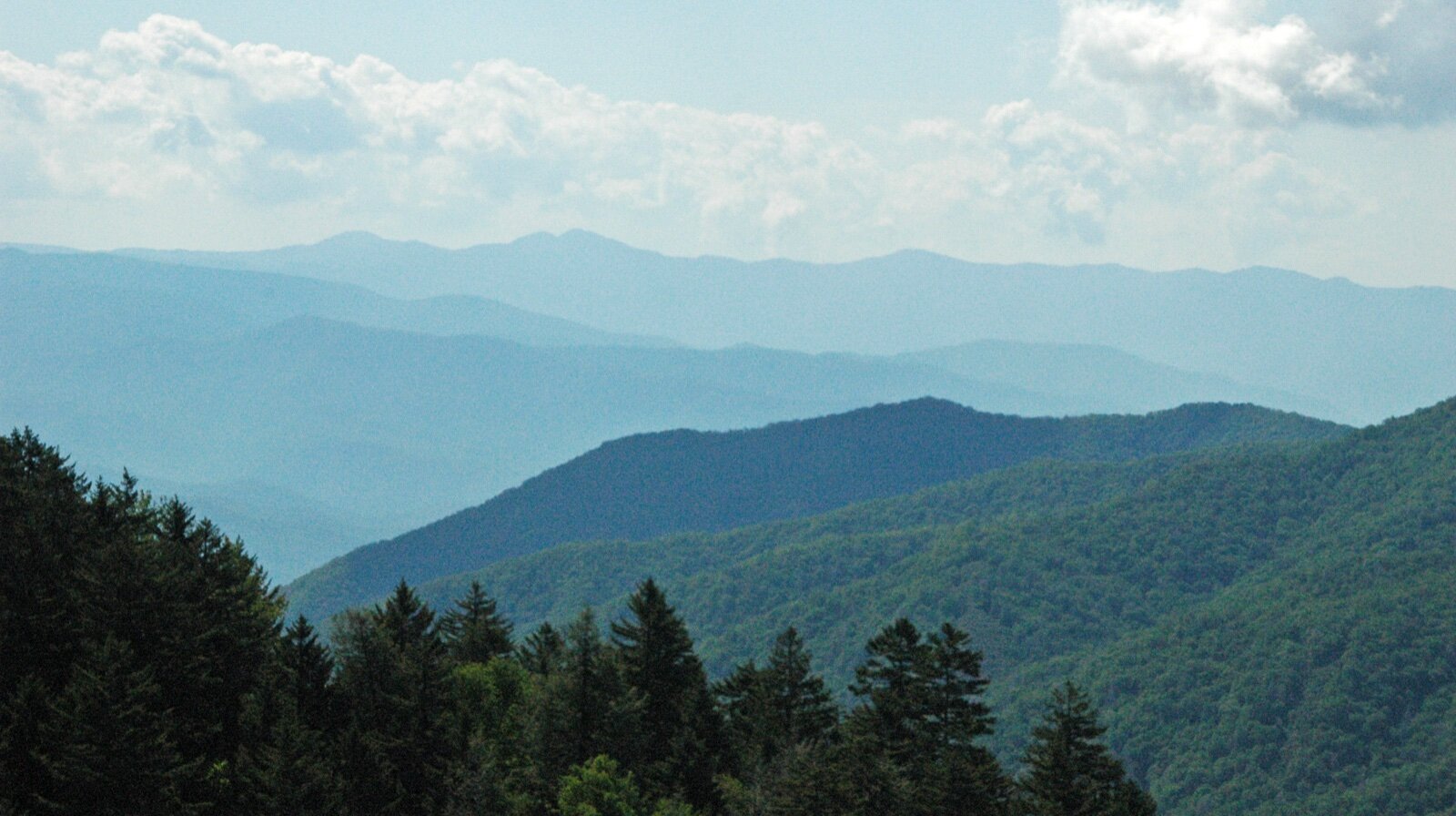 Layered blue ridges of the Great Smoky Mountains in western North Carolina