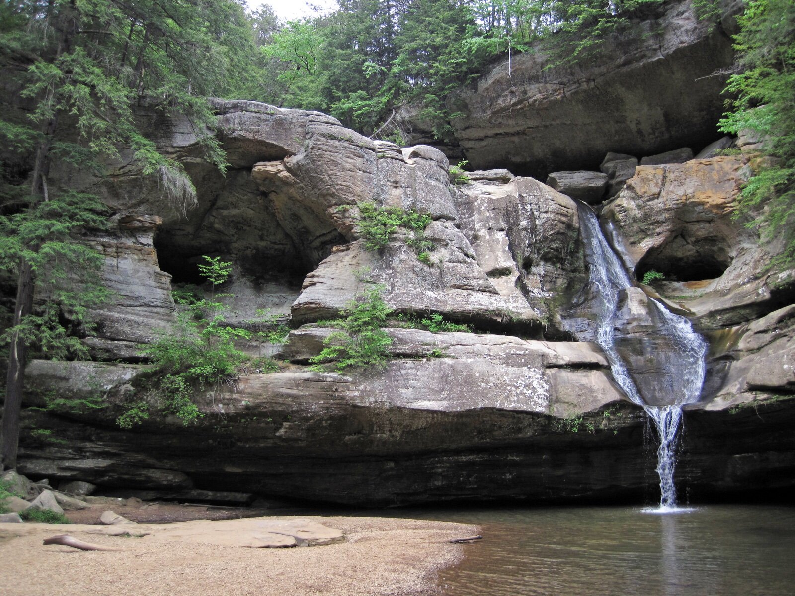 Cedar Falls in Hocking Hills State Park, a waterfall dropping over a sandstone ledge into a pool surrounded by trees