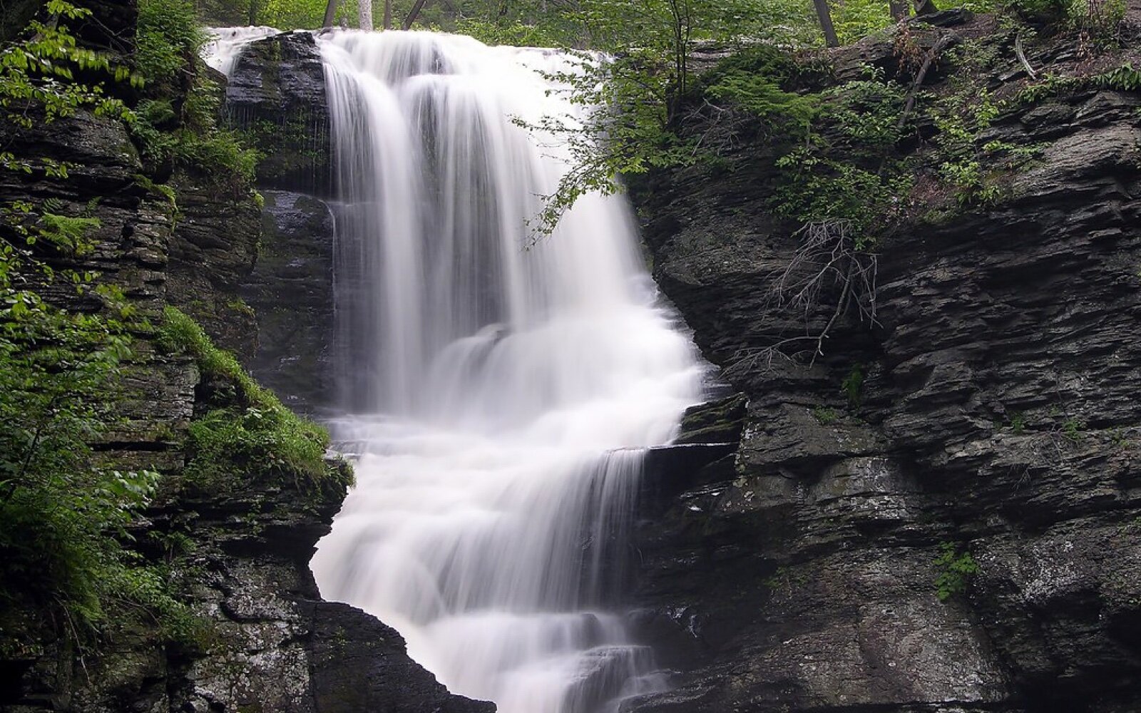 Fulmer Falls cascading over dark rock into a wooded gorge in the Pocono Mountains of Pennsylvania