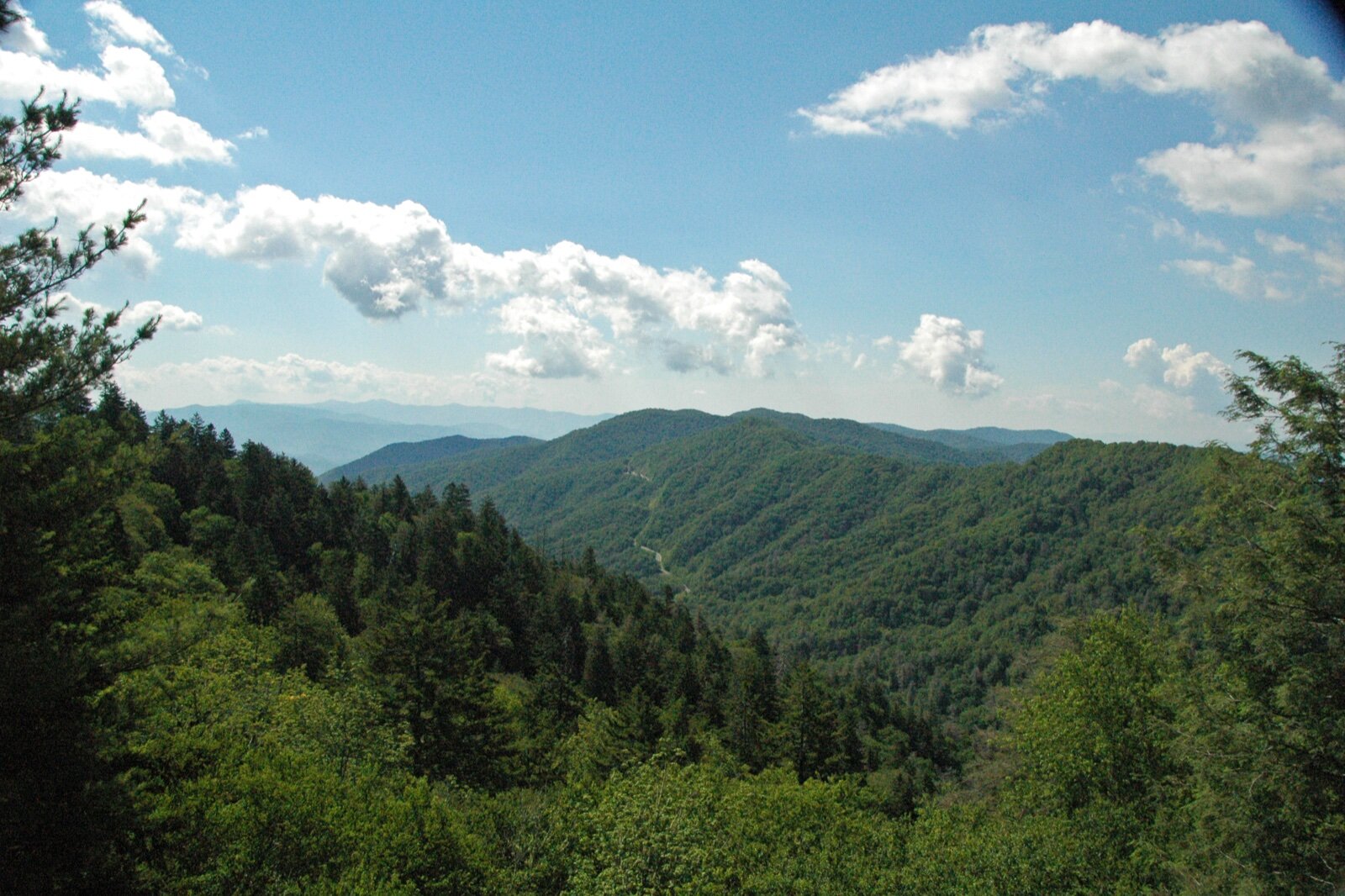 Forested ridges of the Blue Ridge in the Great Smoky Mountains, North Carolina, under a blue sky